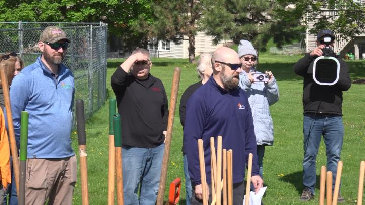 Highlights of the Arbor Day Celebration